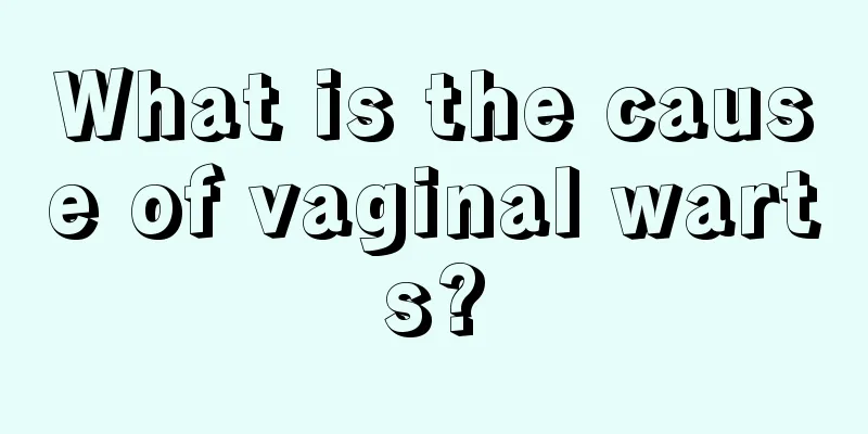 What is the cause of vaginal warts?