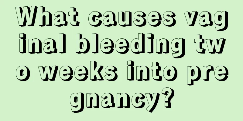 What causes vaginal bleeding two weeks into pregnancy?