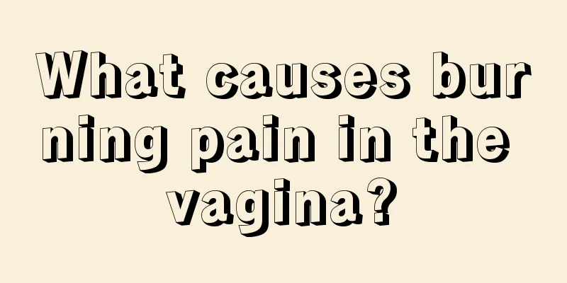 What causes burning pain in the vagina?