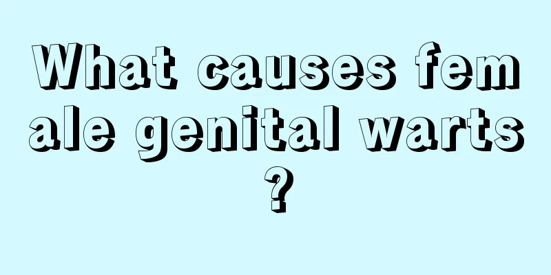 What causes female genital warts?