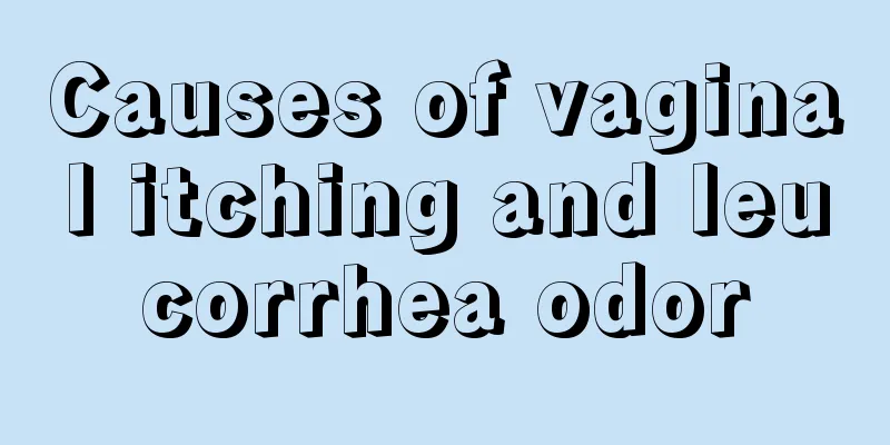 Causes of vaginal itching and leucorrhea odor