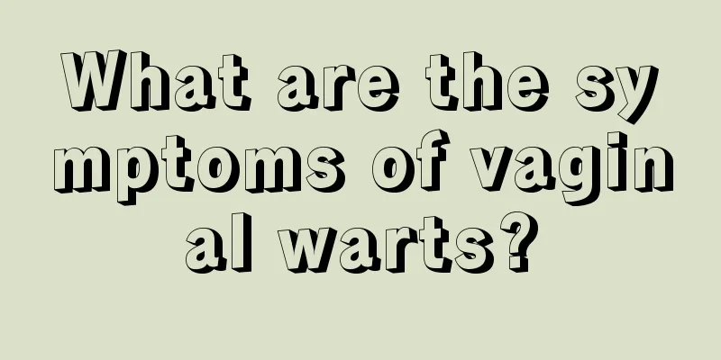 What are the symptoms of vaginal warts?