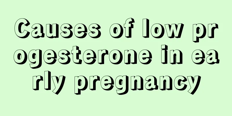 Causes of low progesterone in early pregnancy