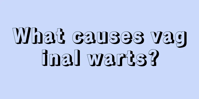 What causes vaginal warts?