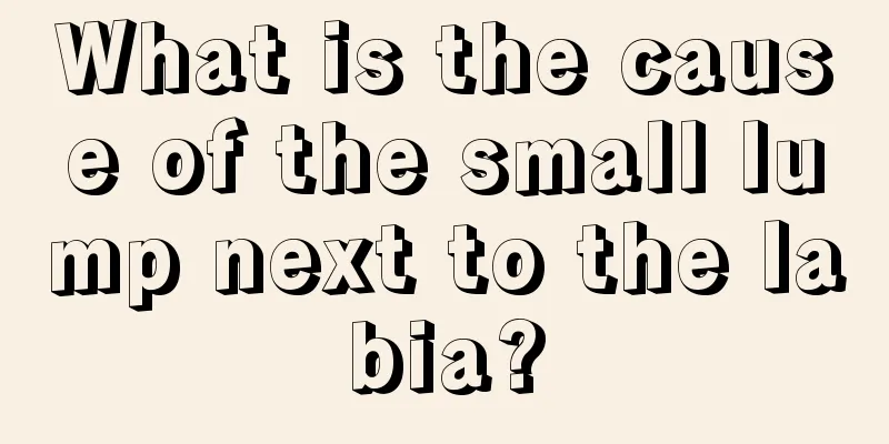 What is the cause of the small lump next to the labia?