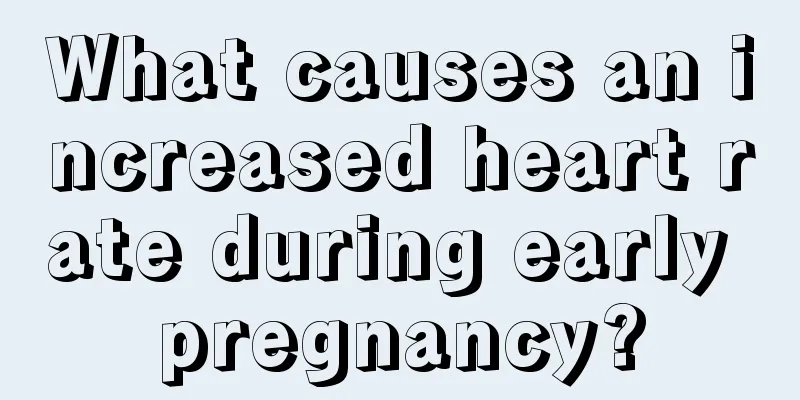 What causes an increased heart rate during early pregnancy?