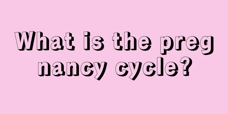 What is the pregnancy cycle?