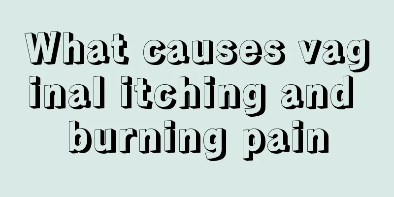 What causes vaginal itching and burning pain