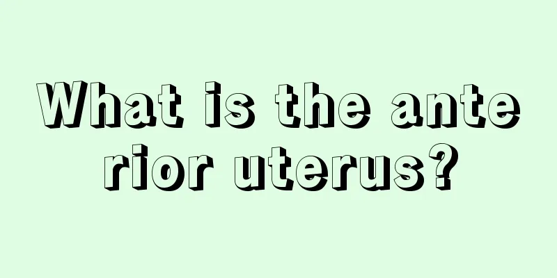 What is the anterior uterus?