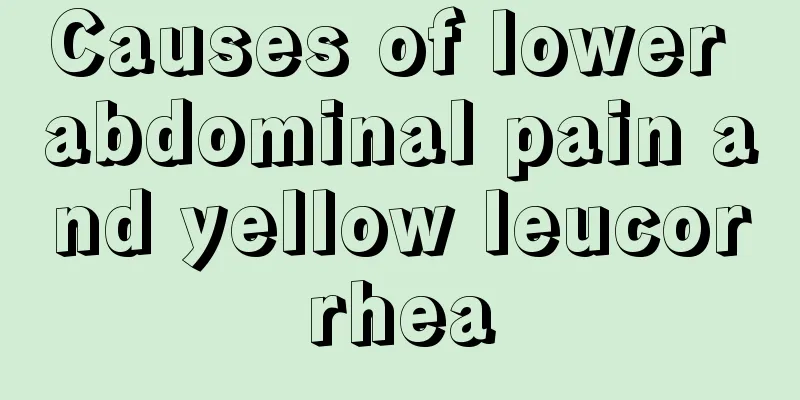 Causes of lower abdominal pain and yellow leucorrhea