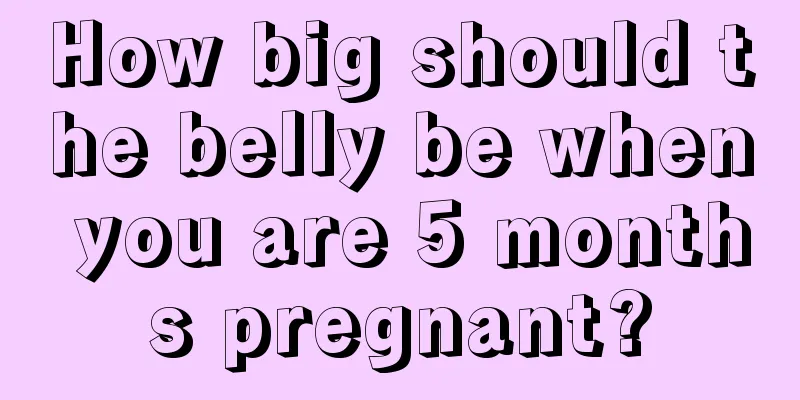 How big should the belly be when you are 5 months pregnant?