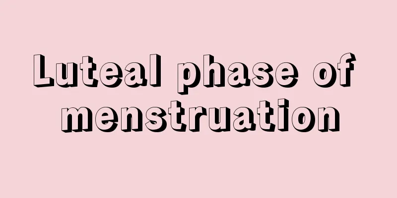 Luteal phase of menstruation