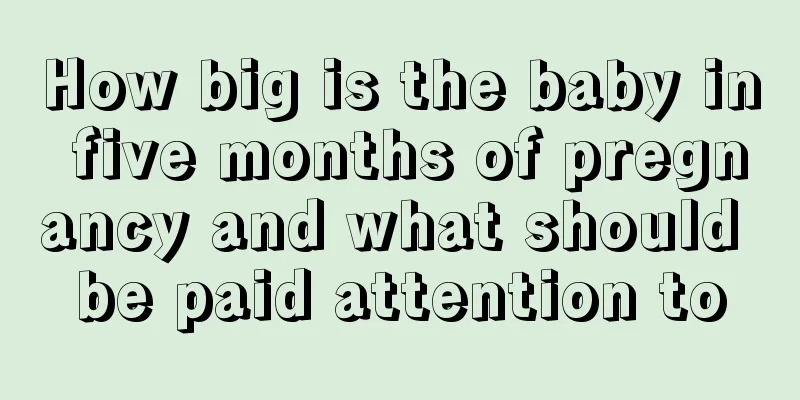 How big is the baby in five months of pregnancy and what should be paid attention to