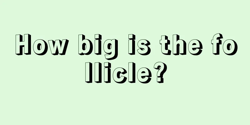 How big is the follicle?