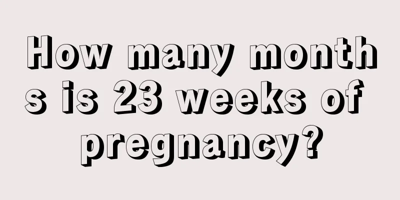 How many months is 23 weeks of pregnancy?