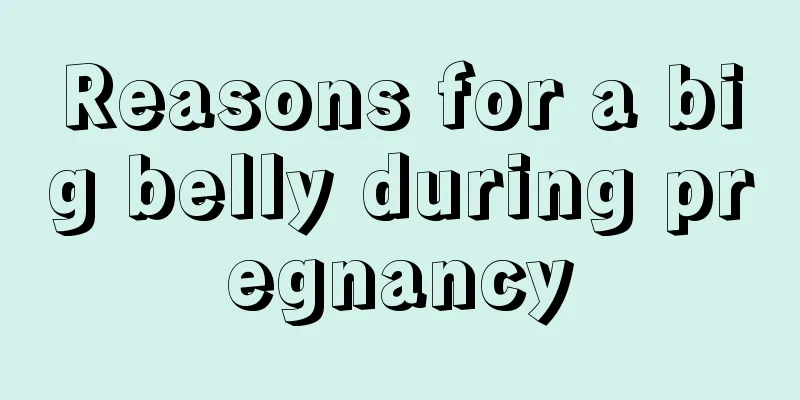 Reasons for a big belly during pregnancy