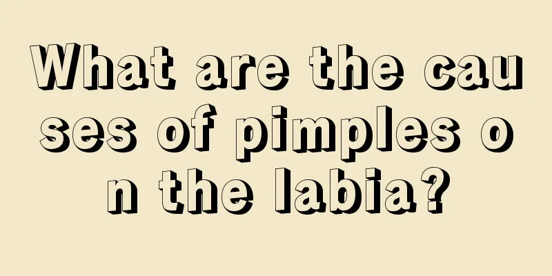 What are the causes of pimples on the labia?