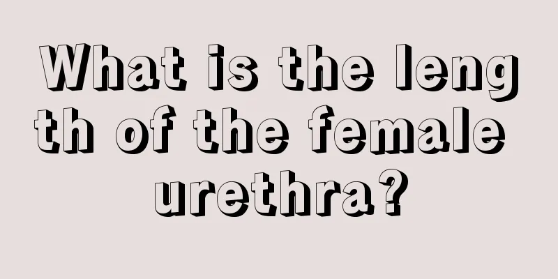 What is the length of the female urethra?