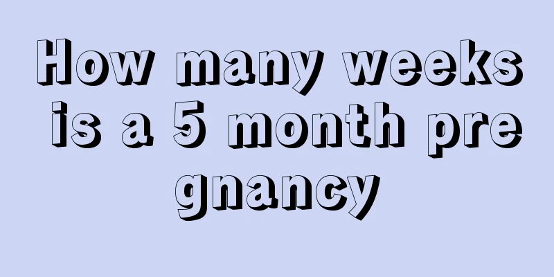 How many weeks is a 5 month pregnancy