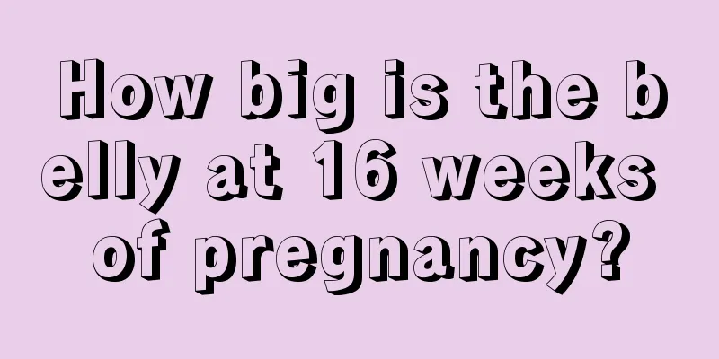 How big is the belly at 16 weeks of pregnancy?