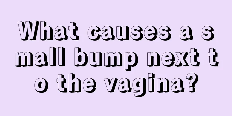 What causes a small bump next to the vagina?