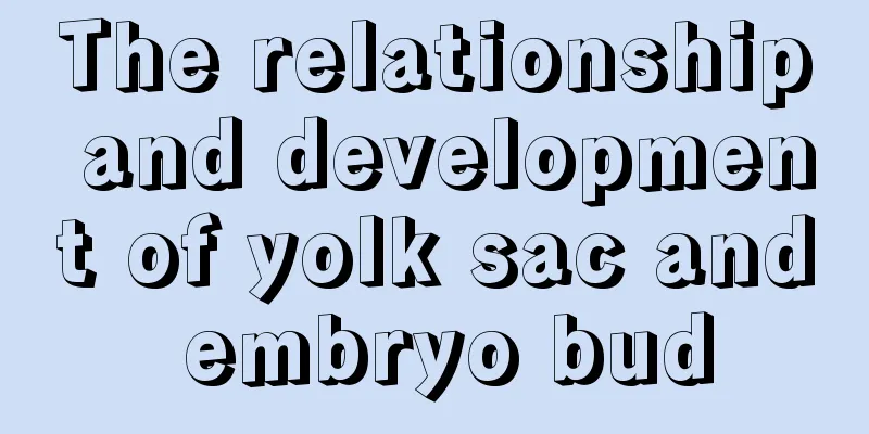 The relationship and development of yolk sac and embryo bud