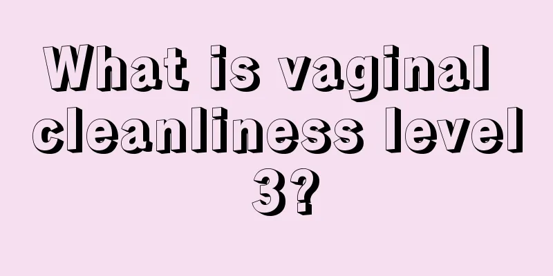 What is vaginal cleanliness level 3?