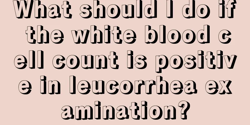 What should I do if the white blood cell count is positive in leucorrhea examination?