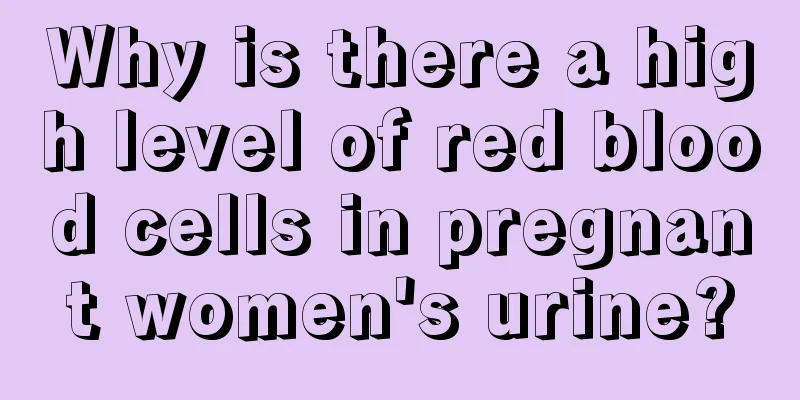 Why is there a high level of red blood cells in pregnant women's urine?