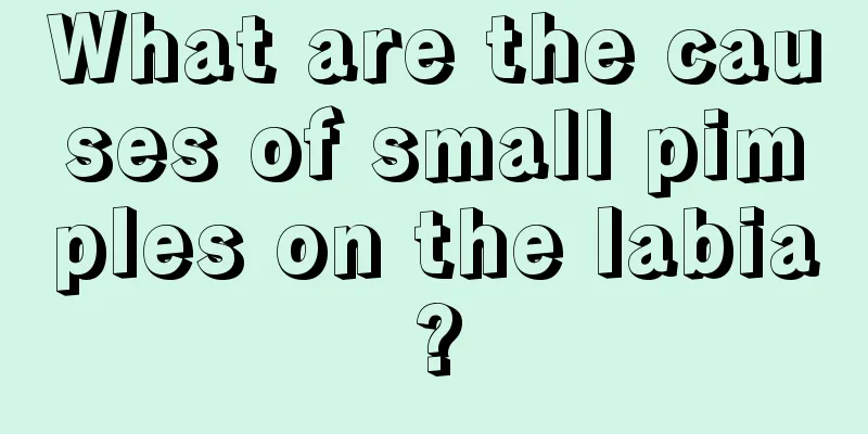 What are the causes of small pimples on the labia?