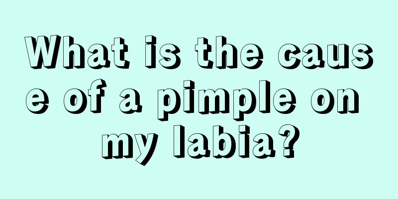 What is the cause of a pimple on my labia?