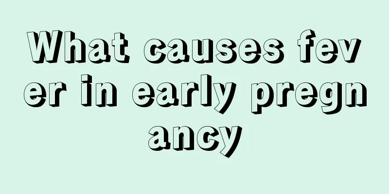 What causes fever in early pregnancy