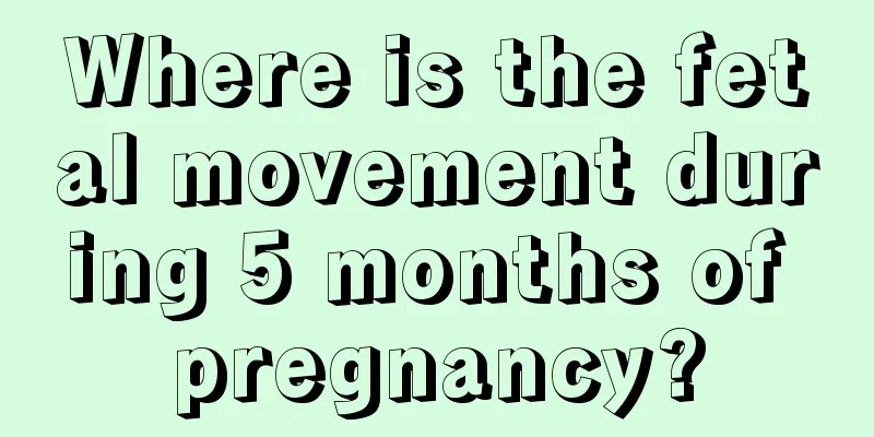 Where is the fetal movement during 5 months of pregnancy?