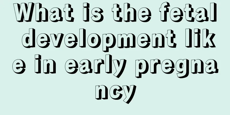 What is the fetal development like in early pregnancy