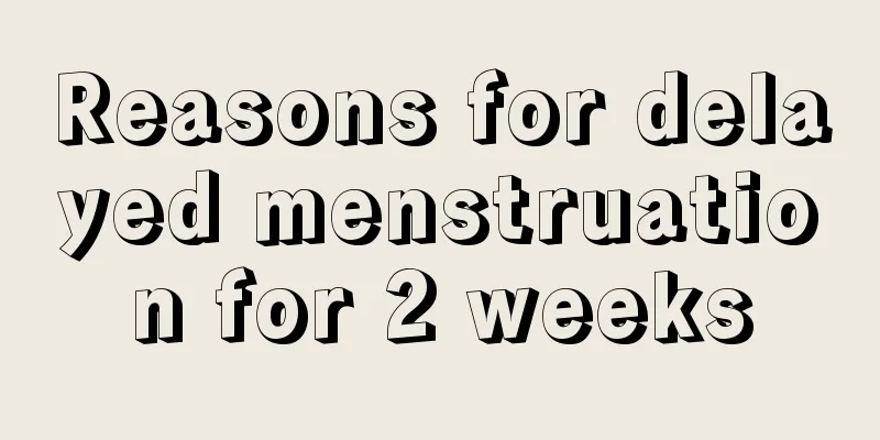 Reasons for delayed menstruation for 2 weeks