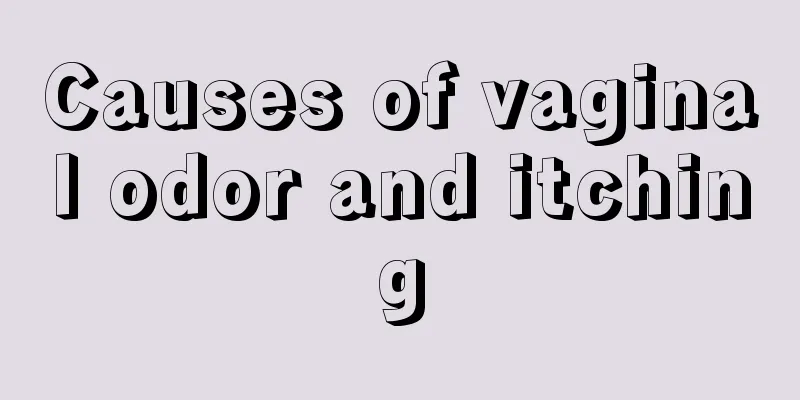 Causes of vaginal odor and itching