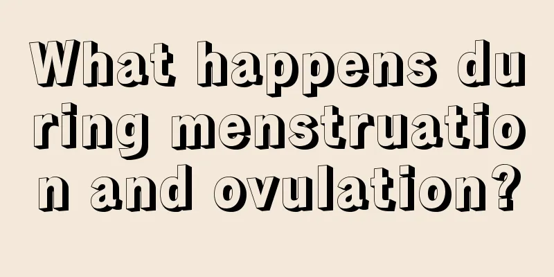 What happens during menstruation and ovulation?