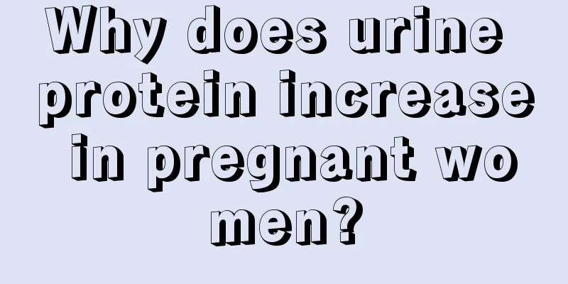 Why does urine protein increase in pregnant women?