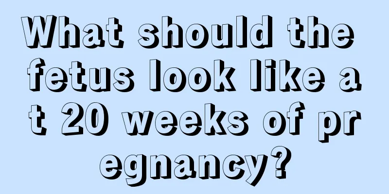 What should the fetus look like at 20 weeks of pregnancy?