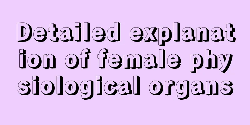 Detailed explanation of female physiological organs