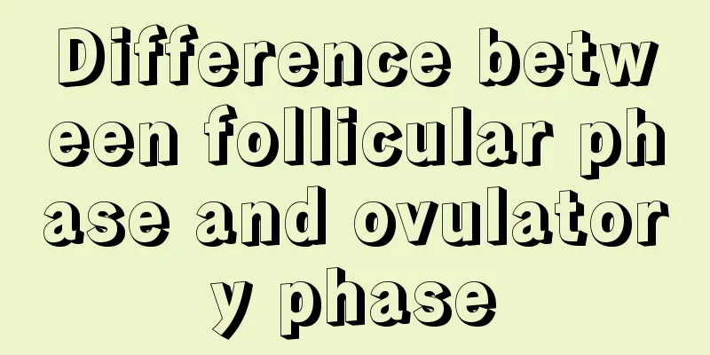 Difference between follicular phase and ovulatory phase