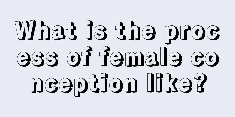 What is the process of female conception like?