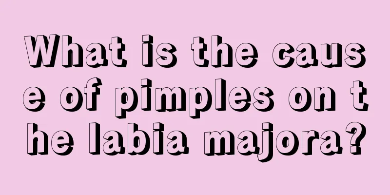 What is the cause of pimples on the labia majora?