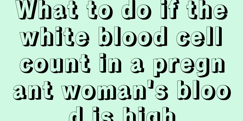 What to do if the white blood cell count in a pregnant woman's blood is high