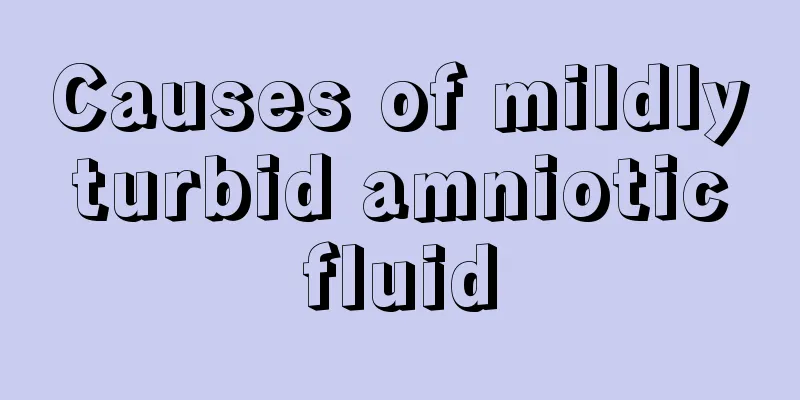 Causes of mildly turbid amniotic fluid