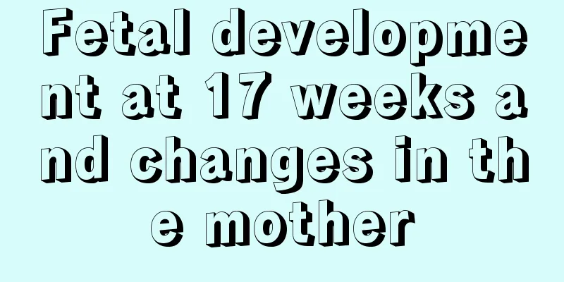 Fetal development at 17 weeks and changes in the mother