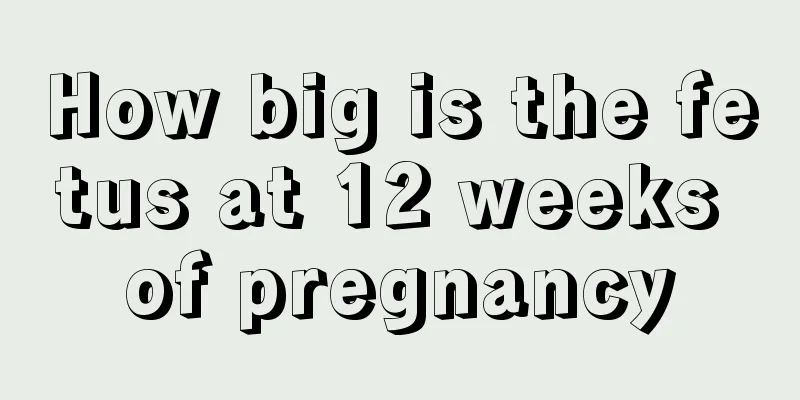 How big is the fetus at 12 weeks of pregnancy