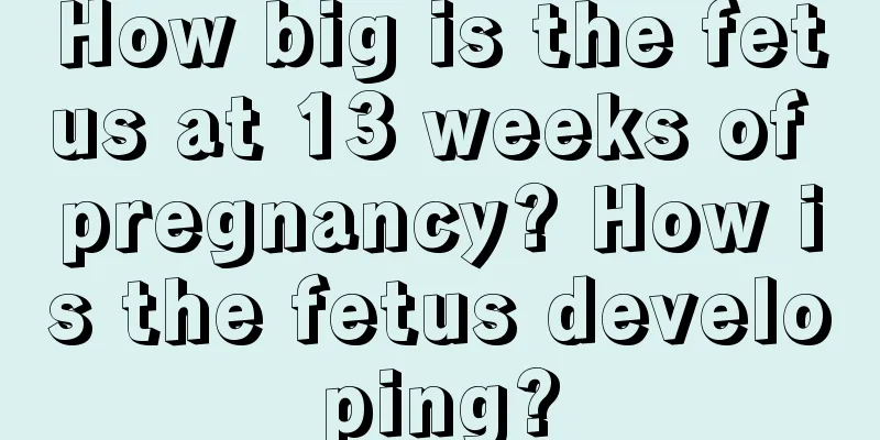 How big is the fetus at 13 weeks of pregnancy? How is the fetus developing?