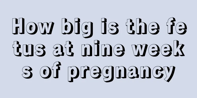 How big is the fetus at nine weeks of pregnancy