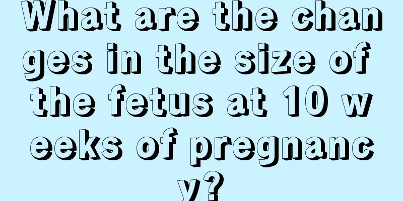 What are the changes in the size of the fetus at 10 weeks of pregnancy?